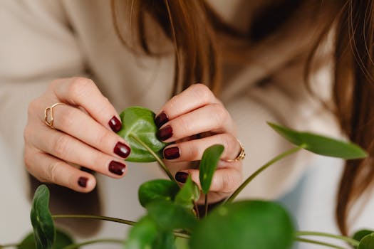 Zútulněte obývák rostlinami: Výběr a péče pro zdraví domova