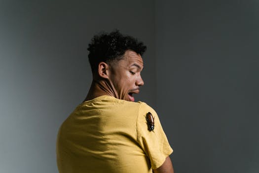 Přežijte Renovaci Kuchyně: Průvodce bez Stresu a Překvapení