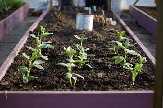 Dřevo vs. Plast: Jaký Materiál Zvolit pro Vyvýšené Záhony?