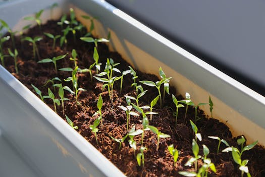 Začněte s městským zahradničením i na malém prostoru!