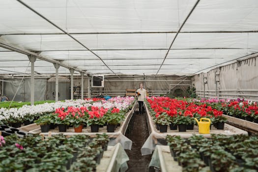 Prodlužte Sezónu: Jak Správně Vybrat Skleník pro Vaši Zahradu